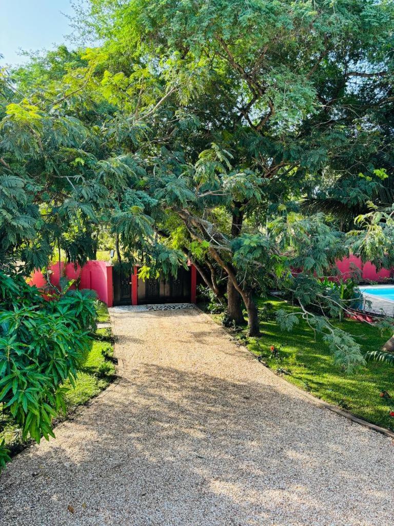 Heda House Bed & Breakfast Sanyang Dış mekan fotoğraf