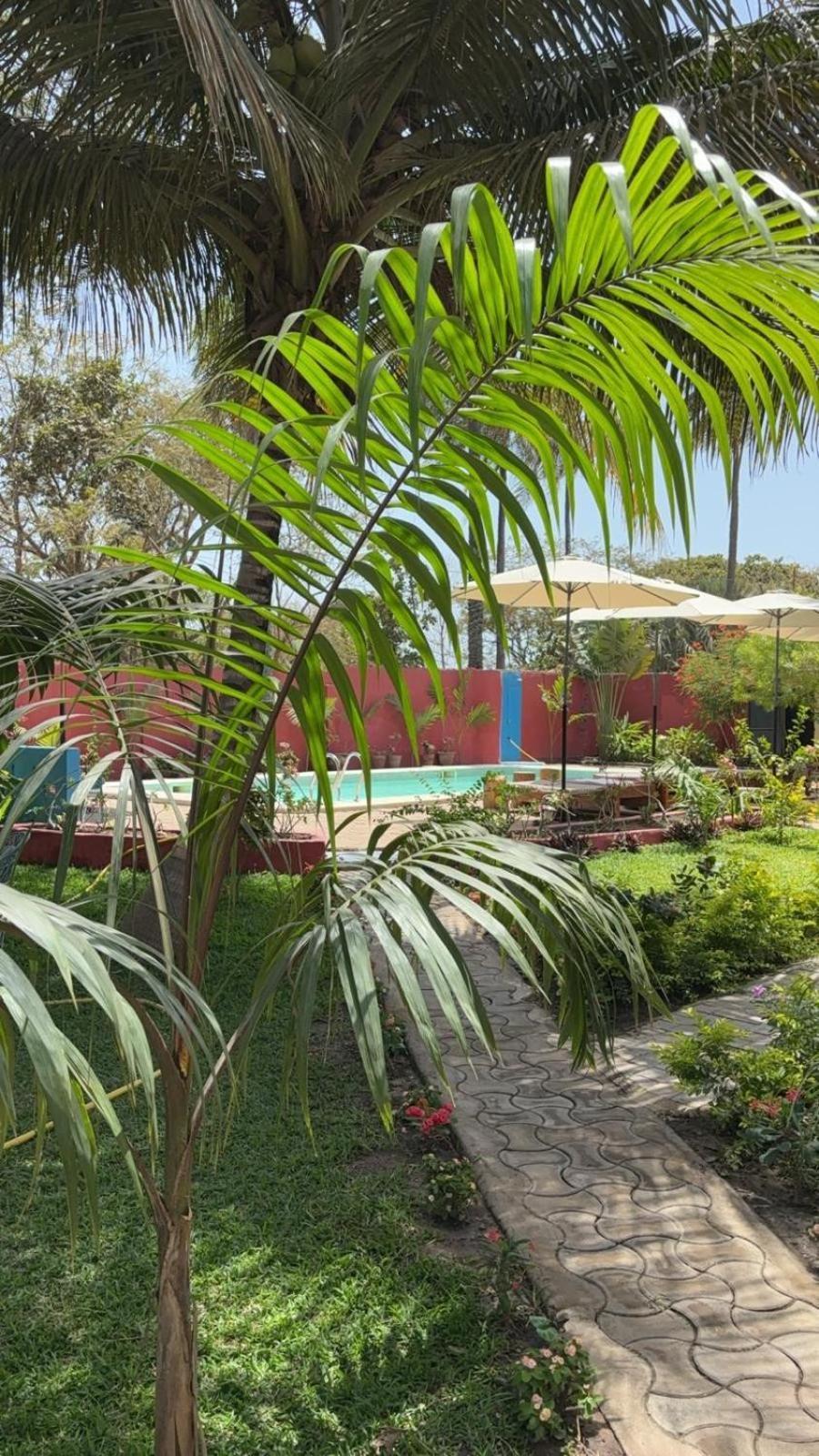 Heda House Bed & Breakfast Sanyang Dış mekan fotoğraf